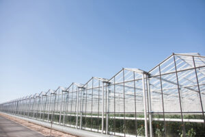 Greenhouses