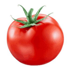 #AlgarTomato2026